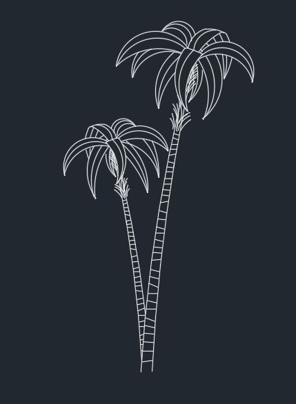 Bloco Arecabambu em DWG