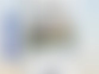 Manual da construção Residencial