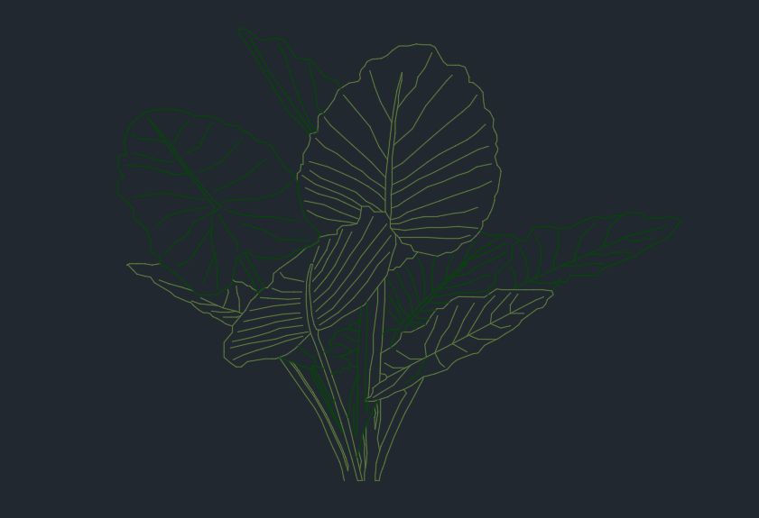 Taioba jardim em DWG