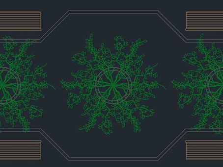 Potted Trees for Public Squares