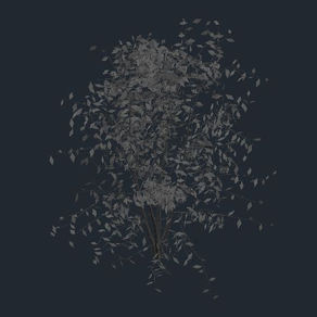 3D Shrub for Plaza
