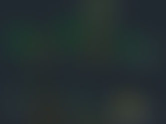 Plant Pots in View for Indoor Use