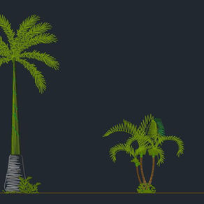 Blocos de Palmeiras Mexicanas Coloridas - dwg - autocad