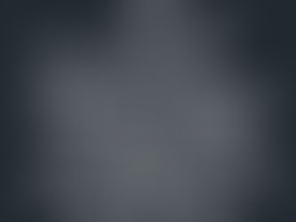 Philodendron Imbé plant