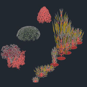 Colorful Bushes