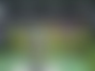 Slovenija ubranila evropsko krono! Kot prva na domačih tleh!