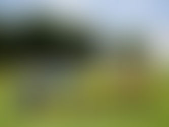 Zaključen skupinski del Vino Euro 2018, znani polfinalni pari