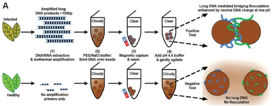 Diag1b2.jpg