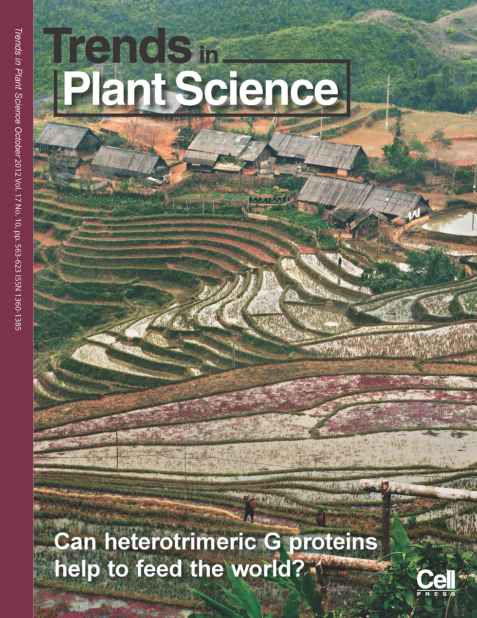2012 TiPS - Can heterotrimeric G proteins help to feed the world.png