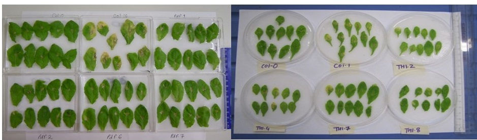 Biotech4b.jpg