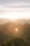 ree