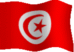 drapeau tnflag1.gif