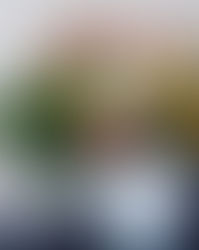 Quand bouquet de fleurs 🌸 rime avec... BONHEUR !