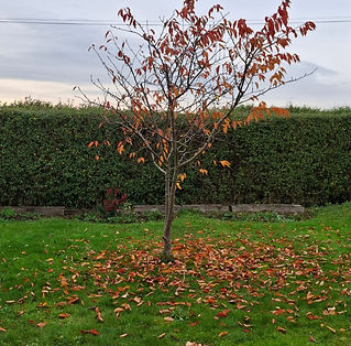 WhatsApp Image 2025-11-13 at 18.21.27.jpeg