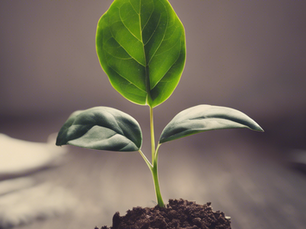 Unlocking Your Potential: A Comprehensive Guide to Personal Growth