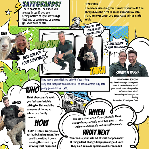 Help Line safeguards (1).png