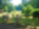 homerswood-farm-about-header_edited.jpg