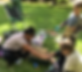 park-hilltops-community-hub.png