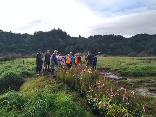 Wainui becoming ‘many waters’ again