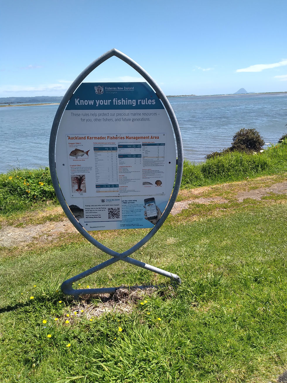 Check out the fishing rules on these signs, or the NZ Fishing App.