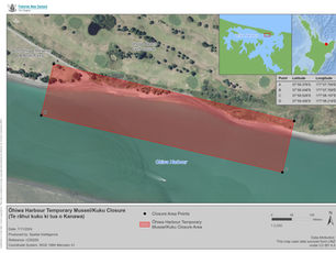 Two-year rāhui over western kuku beds