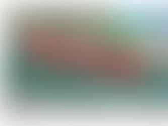 Two-year rāhui over western kuku beds