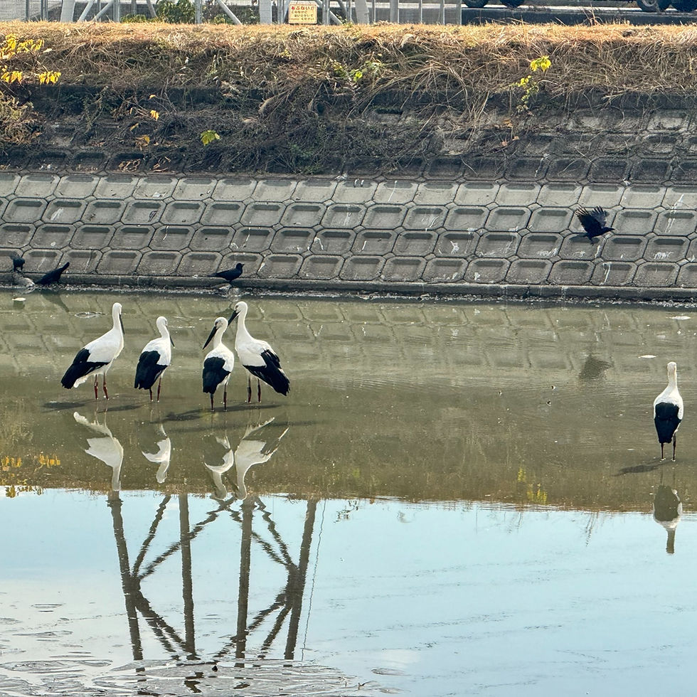 年末年始のお知らせ
