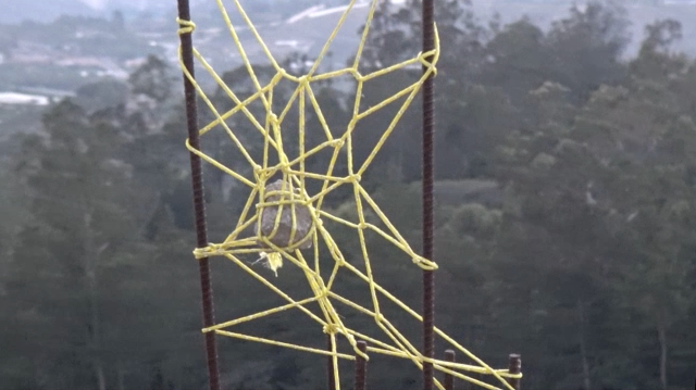Still del video Piedra en la telaraña