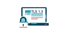 Cifrado TLS 1.3 Cifra tus datos utilizando los últimos protocolos estándar de la industria