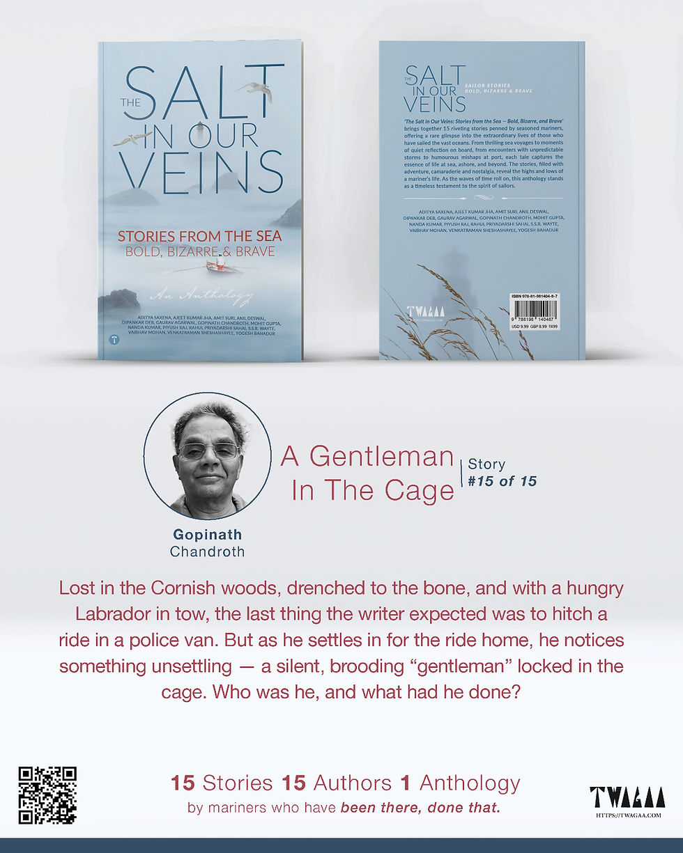 Thumbnail: The Salt in Our Veins: Stories from the Sea — Bold, Bizarre and Brave