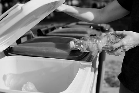 AdobeStock_288720018_edited.jpg