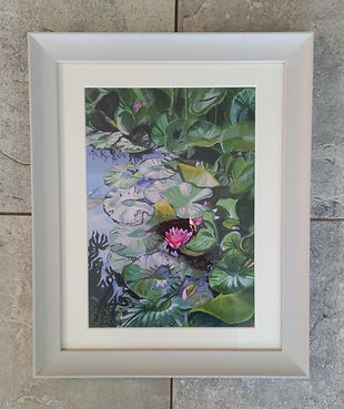Lily Pond prints in white frame
