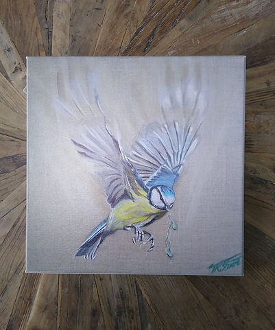 Sup Up - blue tit canvas print