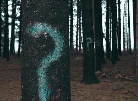 5 Things You Didn't Know About Quora!