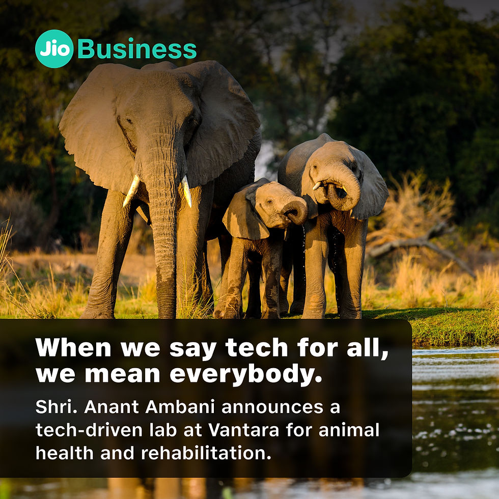 Copy of Animal health