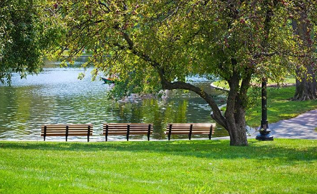 Green, Blue Space Linked to Fewer Parkinson's Hospitalizations