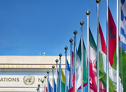 Off Market Land Deals Nationwide (10).png