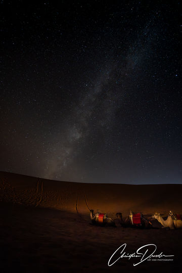 Camel Caravan, Sahara, Morocco, Chebbi, Milkyway