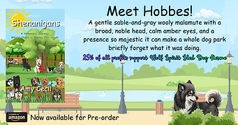 Hobbes