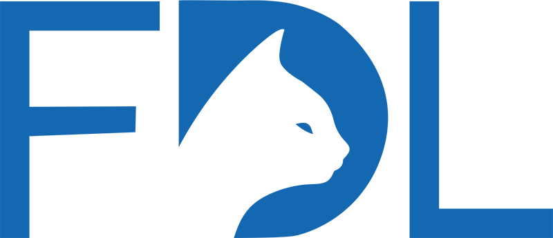 FDL logo Finance Director London