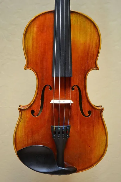 Violin Model Allegro Outfit