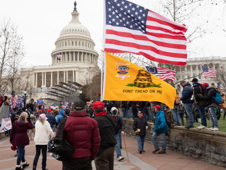 No Insurrection Here