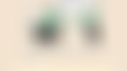 How to run Effective Meetings.