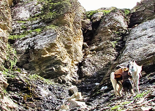 2013-08-10 16-16-04 - 9689829517_ffce37078d_o.jpg