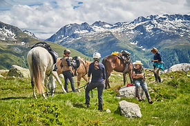 horses and riders resting on an alpine meadow with mountain views