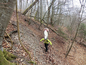 Nature Extreme Trail: Horse-led in steep terrain