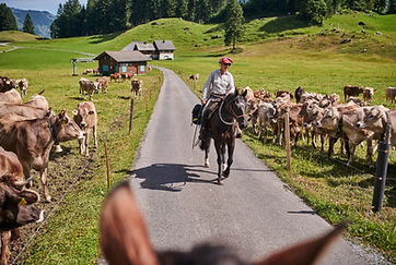 2021-09-30 09-23-28 - SF Peter van Gugten_R.Ruis_H.Feldmann010.jpg