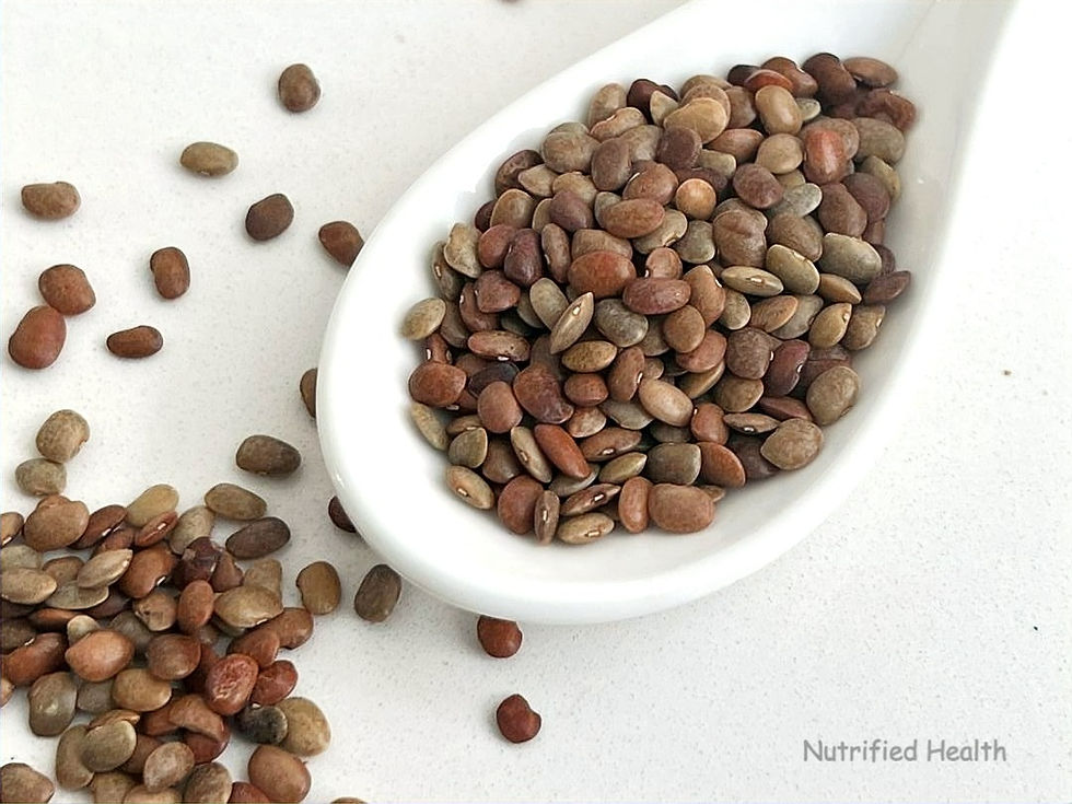 Horse Gram Lentil