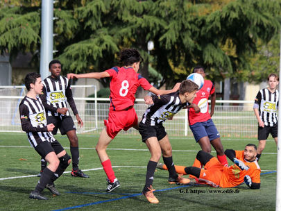 Résultats de ce premier dimanche de novembre