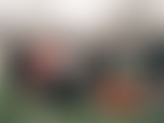 Les résultats du week-end (18-19 janvier)